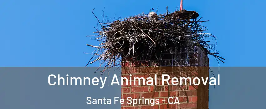  Chimney Animal Removal Santa Fe Springs - CA