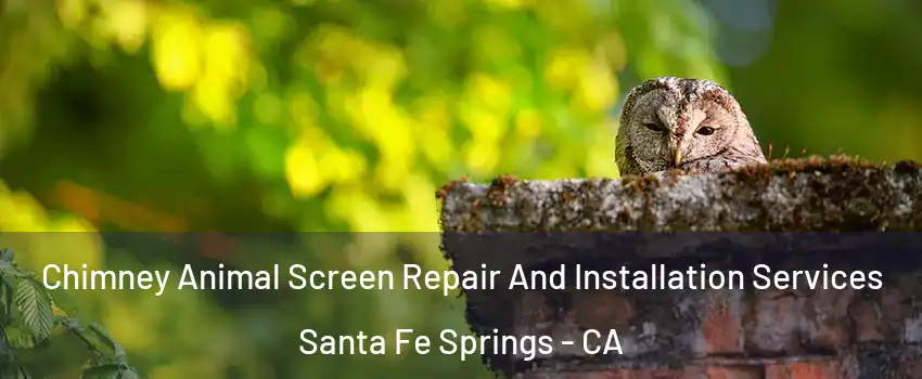  Chimney Animal Screen Repair And Installation Services Santa Fe Springs - CA