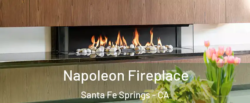  Napoleon Fireplace Santa Fe Springs - CA